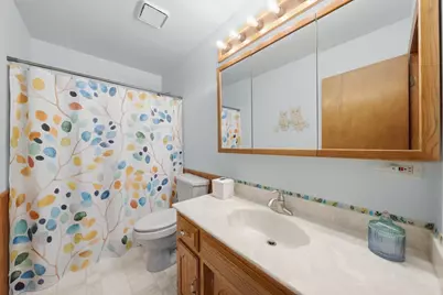 24208 W Frances Court, Shorewood, IL 60404 - Photo 13