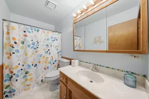 24208 W Frances Ct, Shorewood, IL 60404 - Photo 13