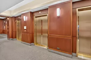 401 E Ontario St, Chicago, IL 60611 - Photo 69