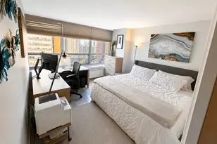 4800 S Chicago Beach Dr, Chicago, IL 60615 - Photo 9