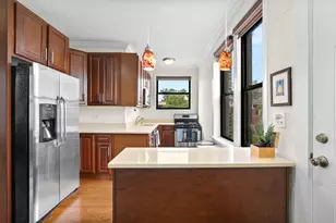 2112 N Seminary Ave, Chicago, IL 60614 - Photo 13