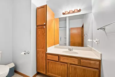 6832 White Egret Court, Tinley Park, IL 60477 - Photo 19