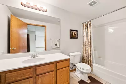 6832 White Egret Court, Tinley Park, IL 60477 - Photo 25