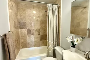 1 E Scott St, Chicago, IL 60610 - Photo 9