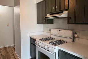 4420 W 111th St, Oak Lawn, IL 60453 - Photo 11