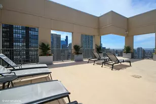 2 E Erie St, Chicago, IL 60611 - Photo 13