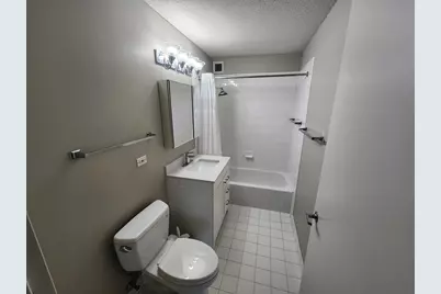 2 E Erie Street #3606, Chicago, IL 60611 - Photo 7