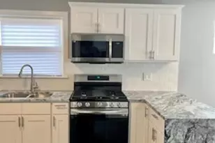 9334 S Paxton Ave, Chicago, IL 60617 - Photo 3