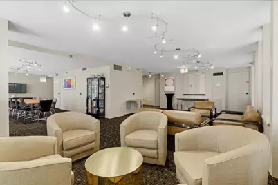 1230 N State Parkway #21D, Chicago, IL 60610 - Photo 19