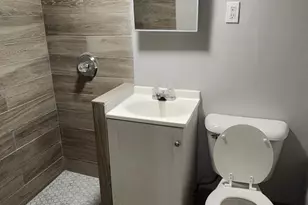 1914 S Hamlin Ave, Chicago, IL 60623 - Photo 29