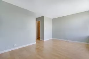 1355 N Sandburg Terrace, Chicago, IL 60610 - Photo 15