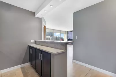 1355 N Sandburg Terrace #1601D, Chicago, IL 60610 - Photo 9