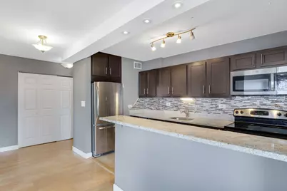1355 N Sandburg Terrace #1601D, Chicago, IL 60610 - Photo 19