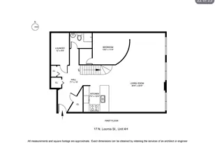 17 N Loomis St, Chicago, IL 60607 - Photo 25