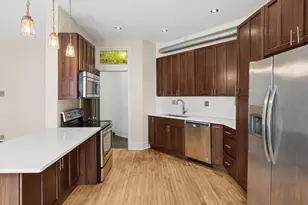 1117 W Fry St, Chicago, IL 60642 - Photo 9