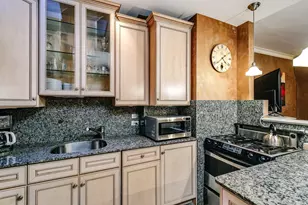 57 E Cedar St, Chicago, IL 60611 - Photo 37