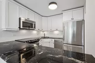1555 N Sandburg Terrace, Chicago, IL 60610 - Photo 11
