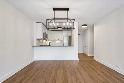 1555 N Sandburg Terrace #512K, Chicago, IL 60610 - Photo 9