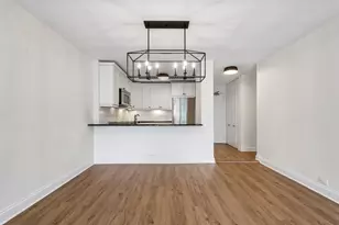 1555 N Sandburg Terrace, Chicago, IL 60610 - Photo 9