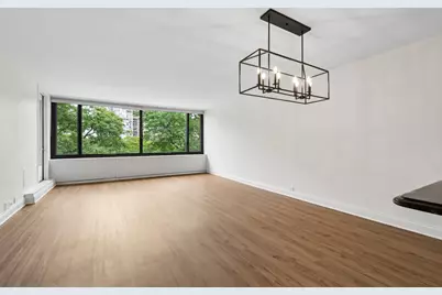 1555 N Sandburg Terrace #512K, Chicago, IL 60610 - Photo 3