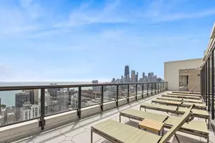 1560 N Sandburg Terrace, Chicago, IL 60610 - Photo 17