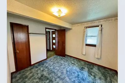 335 N Washington Street, Tiskilwa, IL 61368 - Photo 17
