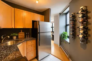 3660 N Lake Shore Dr, Chicago, IL 60613 - Photo 9
