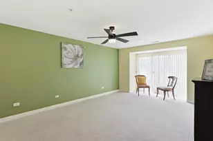 50 N Bokelman St, Roselle, IL 60172 - Photo 11