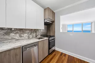 1550 N Lake Shore Dr, Chicago, IL 60610 - Photo 5
