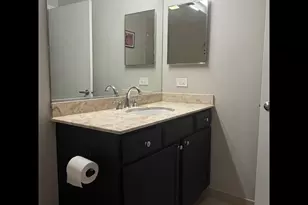 1151 W 14th Pl, Chicago, IL 60608 - Photo 13