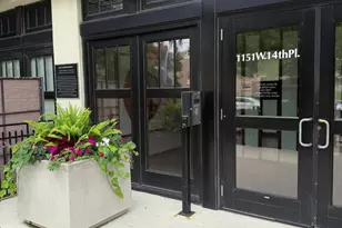 1151 W 14th Pl, Chicago, IL 60608 - Photo 3