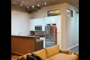 1151 W 14th Pl, Chicago, IL 60608 - Photo 7
