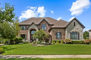 22232 Elise Blvd, Frankfort, IL 60423 - Photo 1
