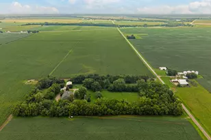 7673 Matznick Rd, Prophetstown, IL 61277 - Photo 49