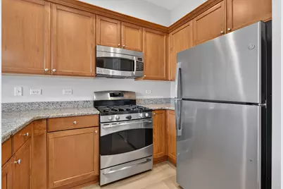 50 N Northwest Highway #204, Park Ridge, IL 60068 - Photo 9