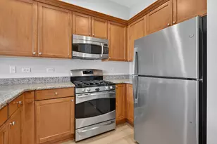50 N Northwest Hwy, Park Ridge, IL 60068 - Photo 9