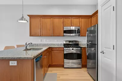 50 N Northwest Highway #204, Park Ridge, IL 60068 - Photo 5
