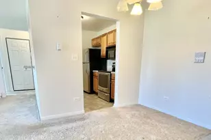1363 Cunat Ct, Lake in the Hills, IL 60156 - Photo 5