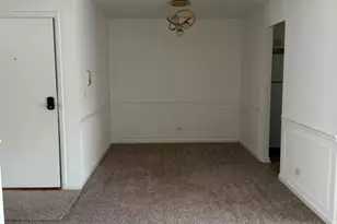 327 Wildberry Ct, Schaumburg, IL 60193 - Photo 5