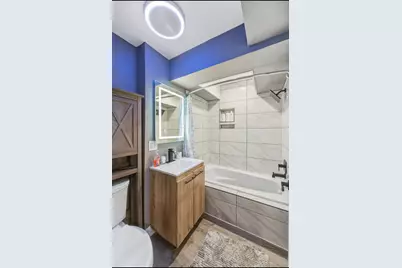 231 E 59th Street #1, Chicago, IL 60637 - Photo 9