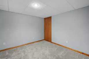 8132 Matznick Rd, Prophetstown, IL 61277 - Photo 33