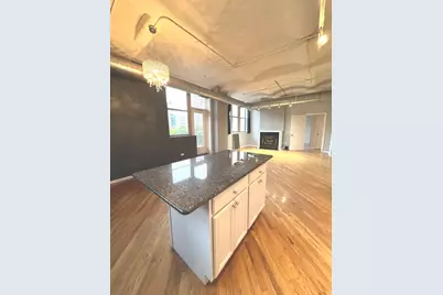 500 S Clinton Street #310, Chicago, IL 60607 - Photo 3