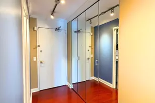 1555 N Sandburg Terrace, Chicago, IL 60610 - Photo 19
