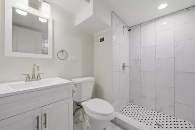 8113 S Campbell Avenue, Chicago, IL 60652 - Photo 29