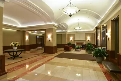 25 E Superior Street #1504, Chicago, IL 60611 - Photo 21