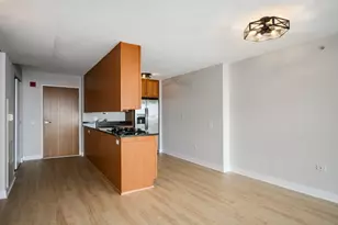 9715 Woods Dr, Skokie, IL 60077 - Photo 3