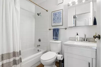 111 W Maple Street #802, Chicago, IL 60610 - Photo 17