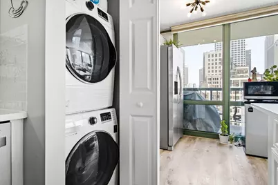 111 W Maple Street #802, Chicago, IL 60610 - Photo 9