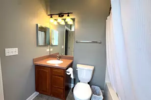 157 Festival Ct, Elgin, IL 60120 - Photo 13