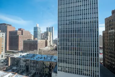 1221 N Dearborn Street #1207N, Chicago, IL 60610 - Photo 3